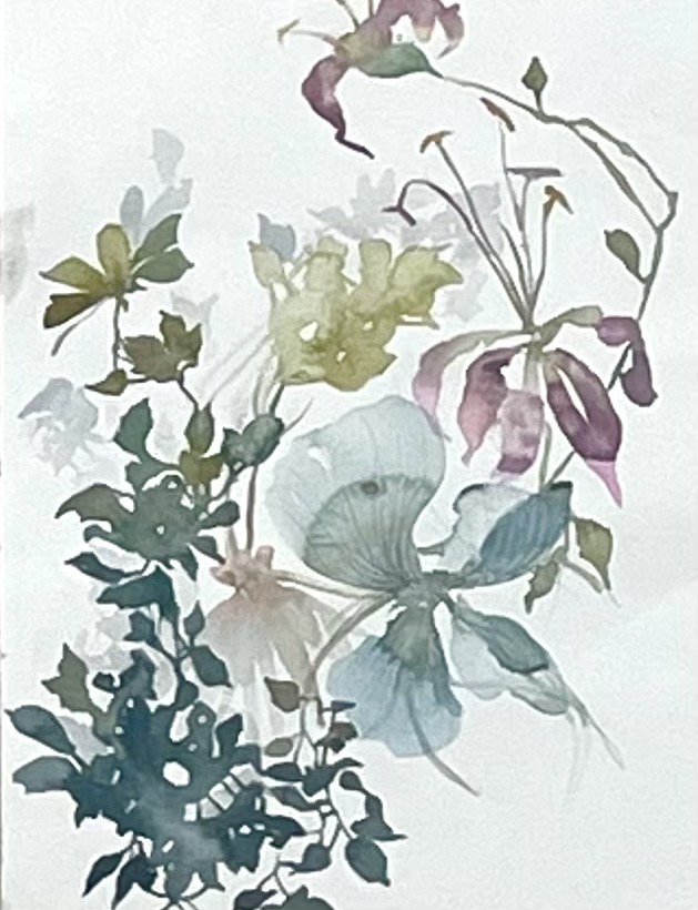 Pflanze 3