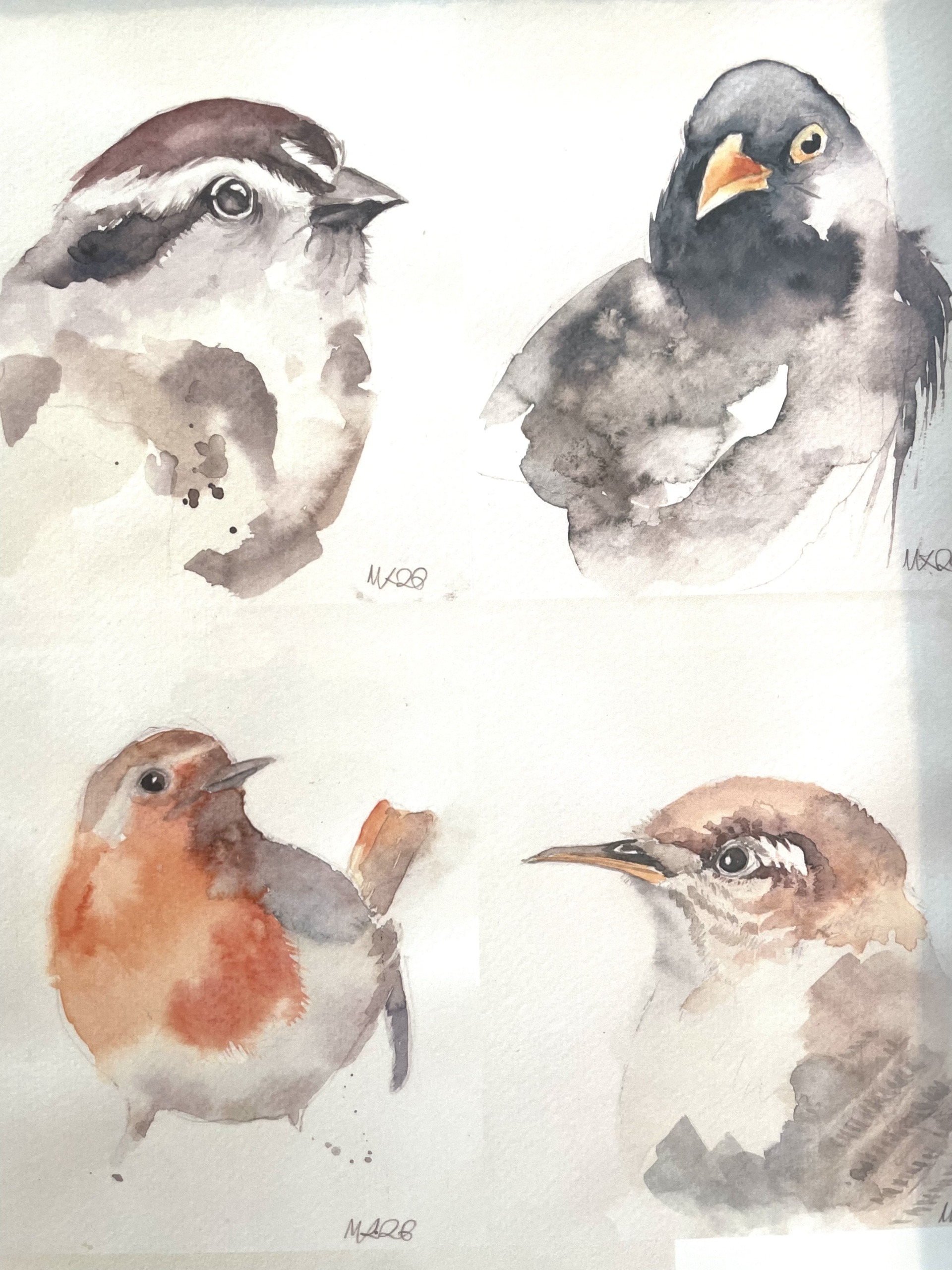 Vögel